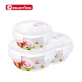 Borosilicate Glass Food Container with Customized Decal